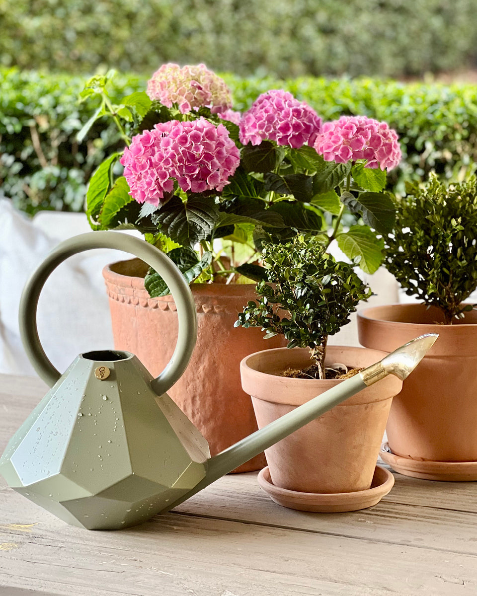 Eucalyptus watering can + Sprinkler Head-2