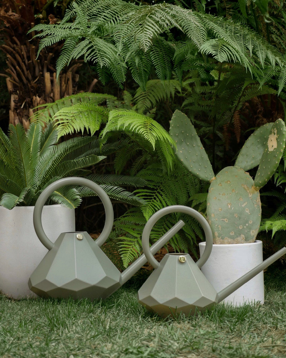 The Maxi & Midi Eucalyptus Kit-2