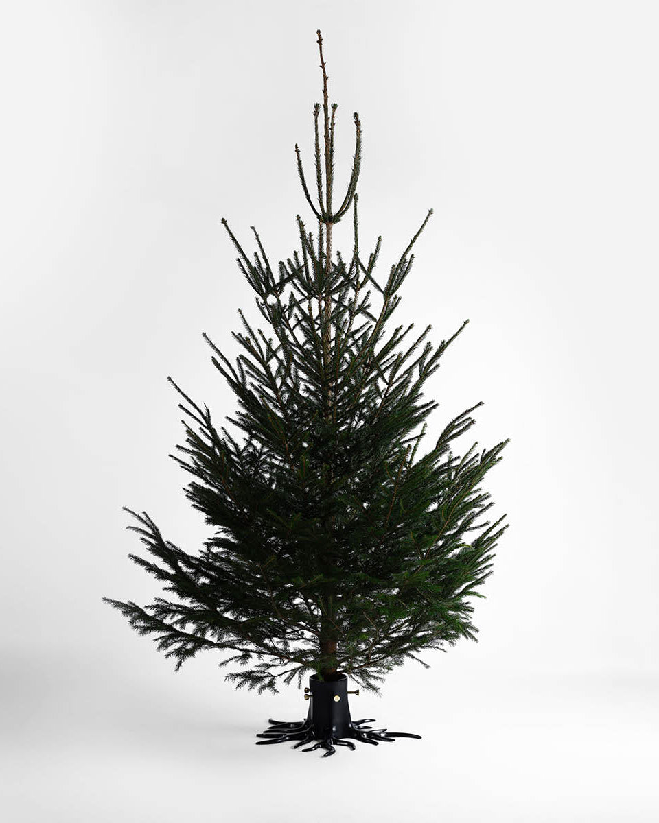 Christmas Tree Stand "The Root" - Black-4
