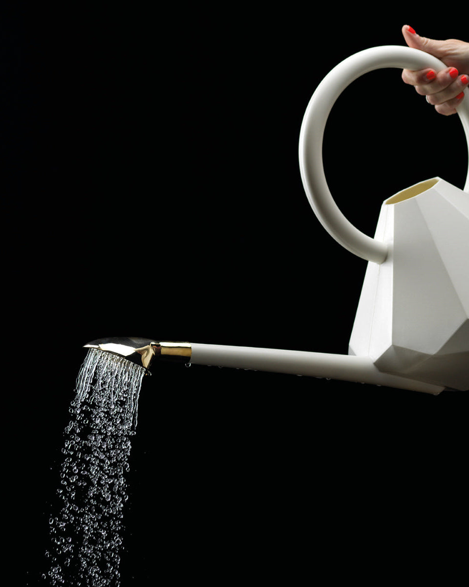 Crystal watering can + sprinkler head-3