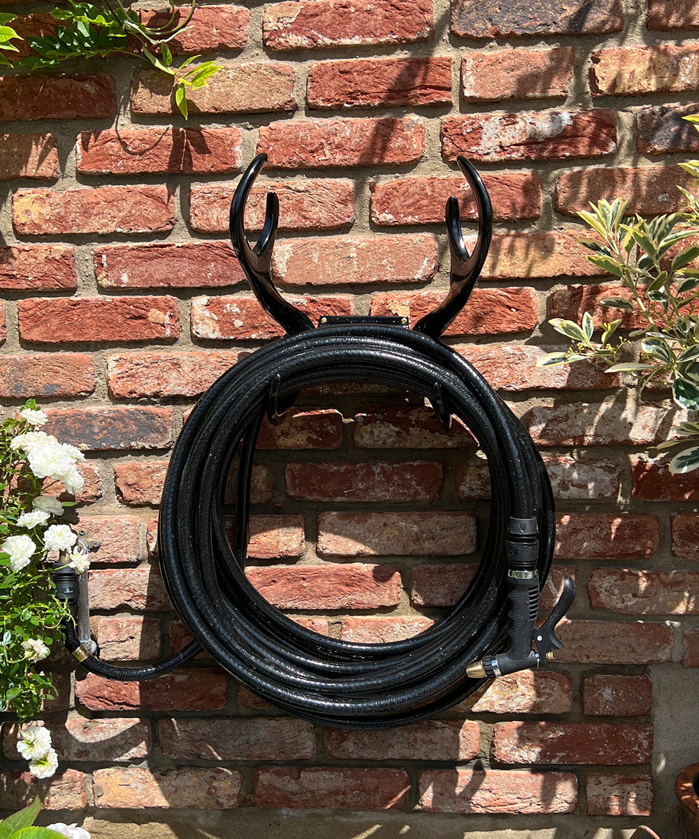 Dark Fantasies Hose Kit