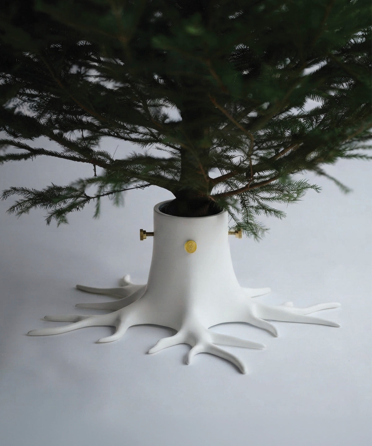 Julgransfot "The Root" - Krämvit