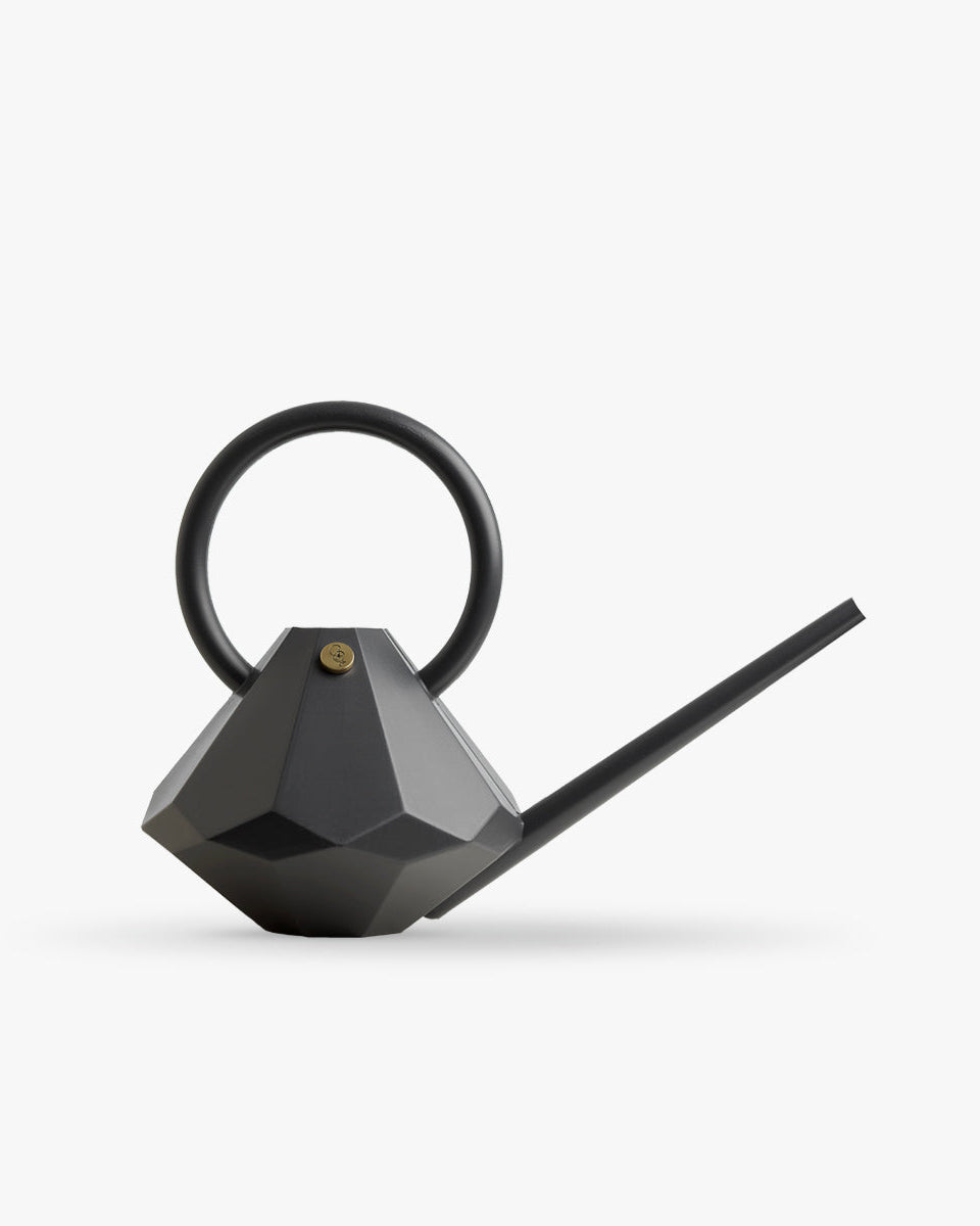 Graphite watering can 4l