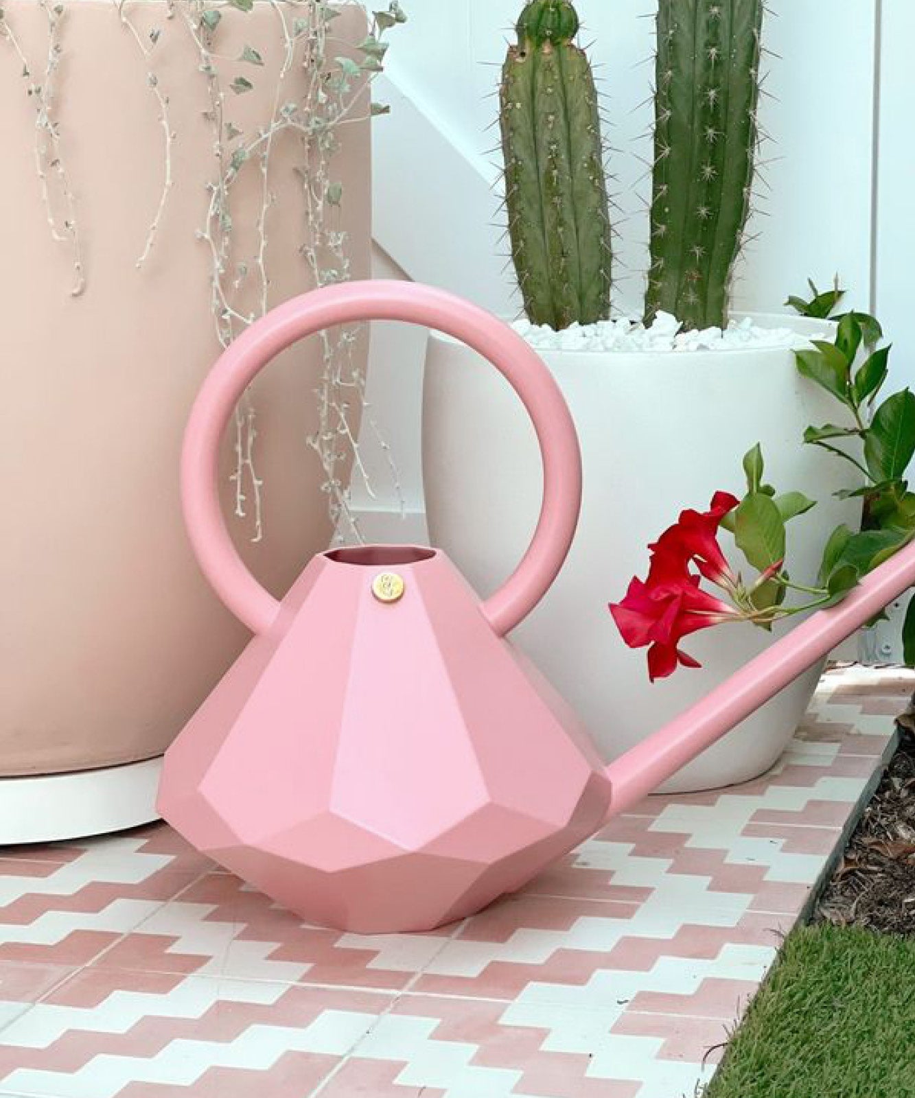 Watering Can Rosé - 8 L