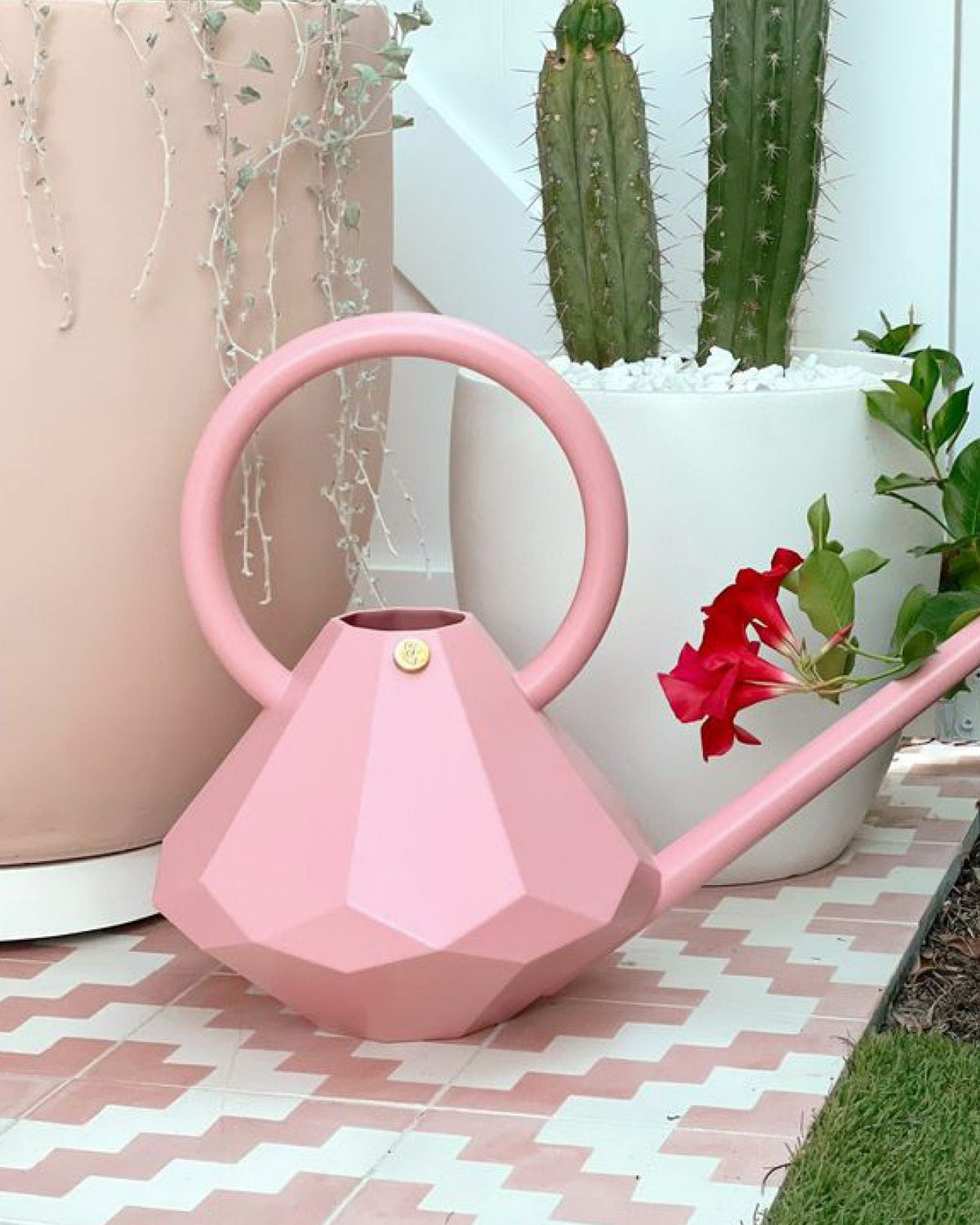 Watering Can Rosé - 8 L-4