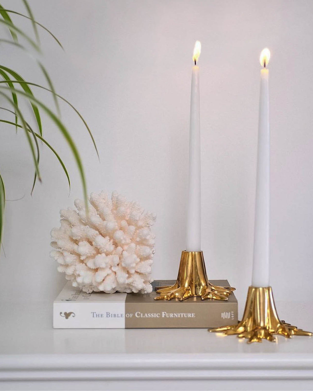 Candle Holder "Mini Root" - Gold-4