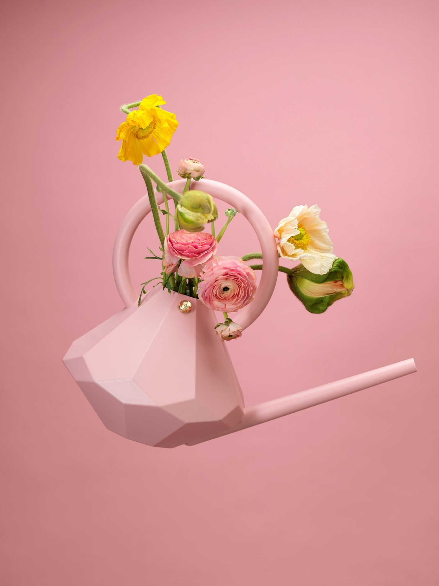 Garden Glory Imports Watering Can - Thumbnail 3