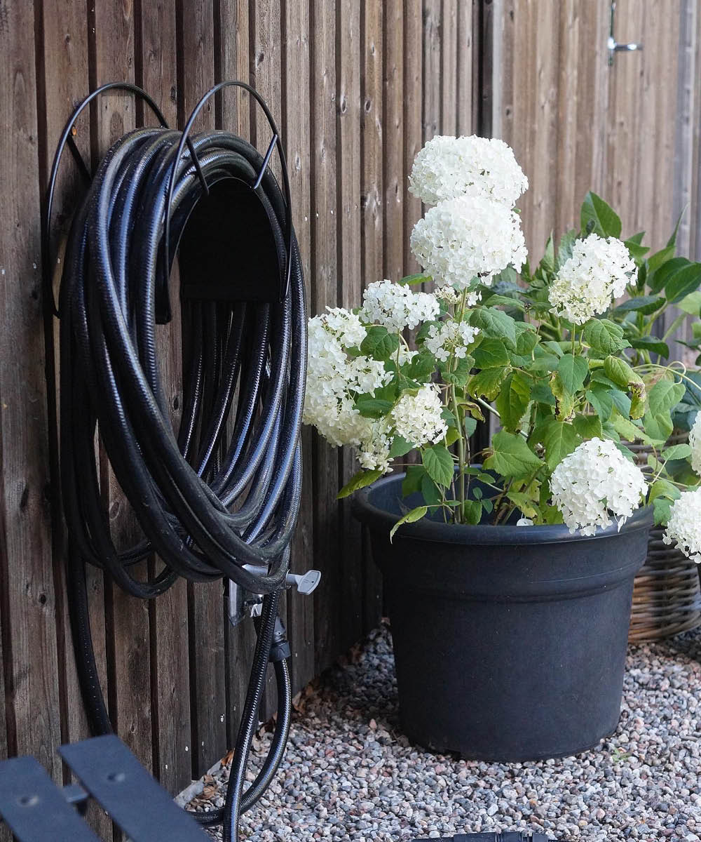 Black Swan garden hose-3