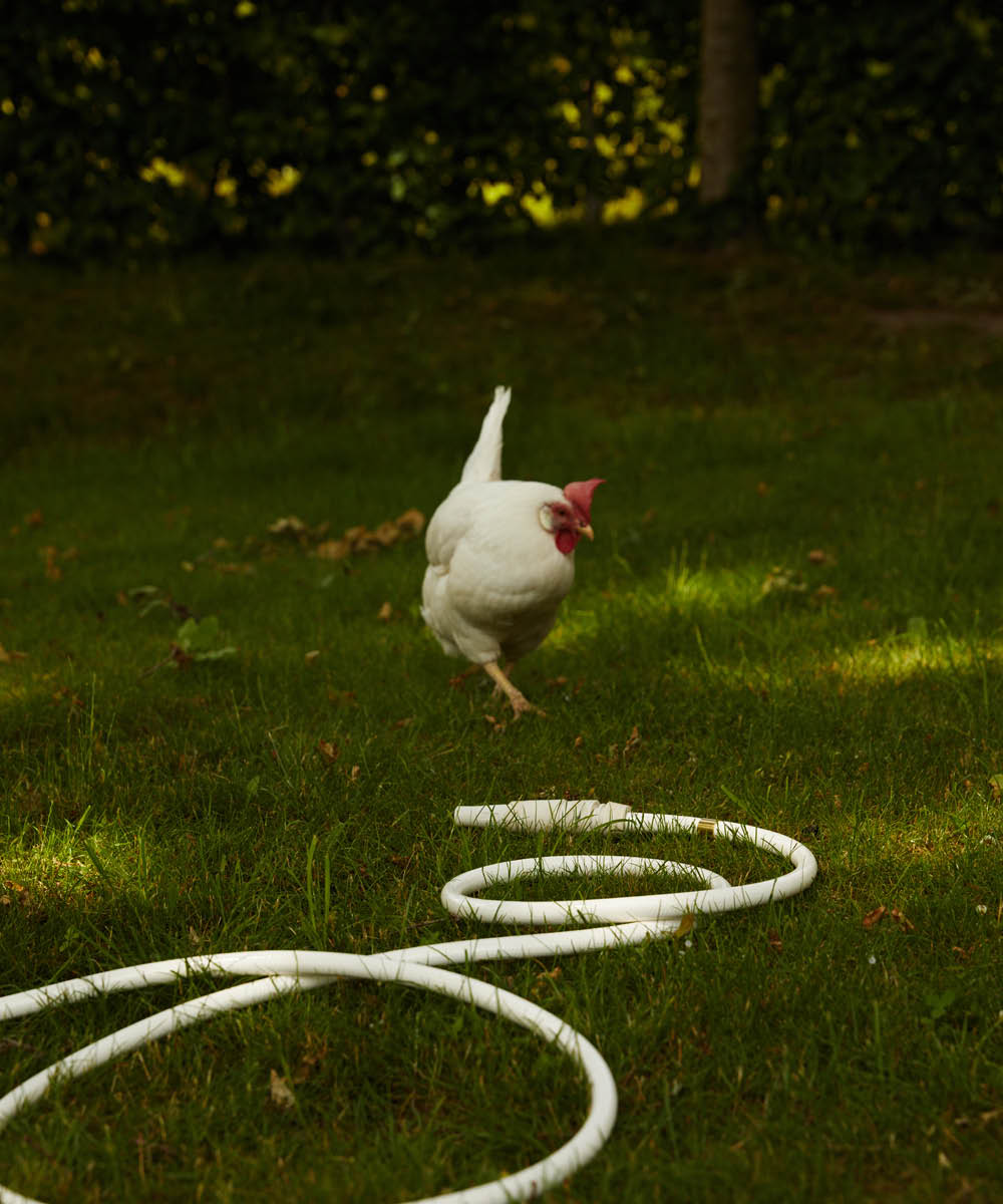 White snake garden hose-3