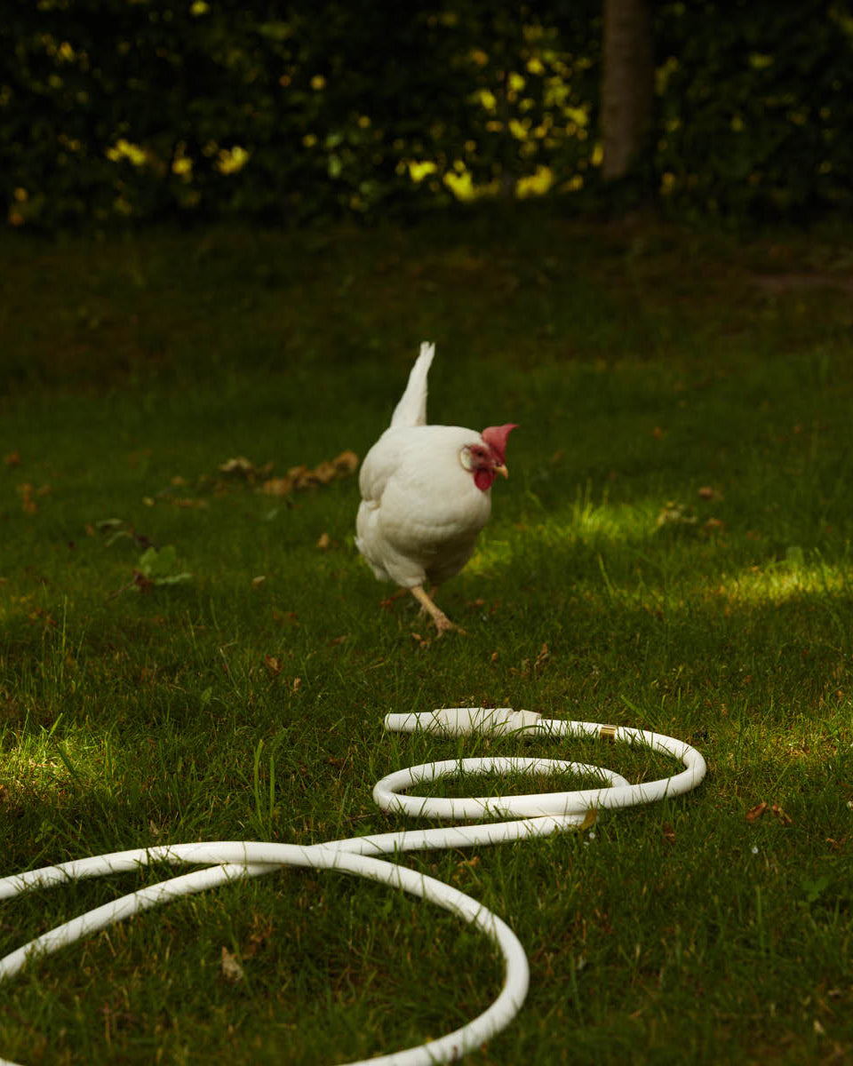 White snake garden hose-3