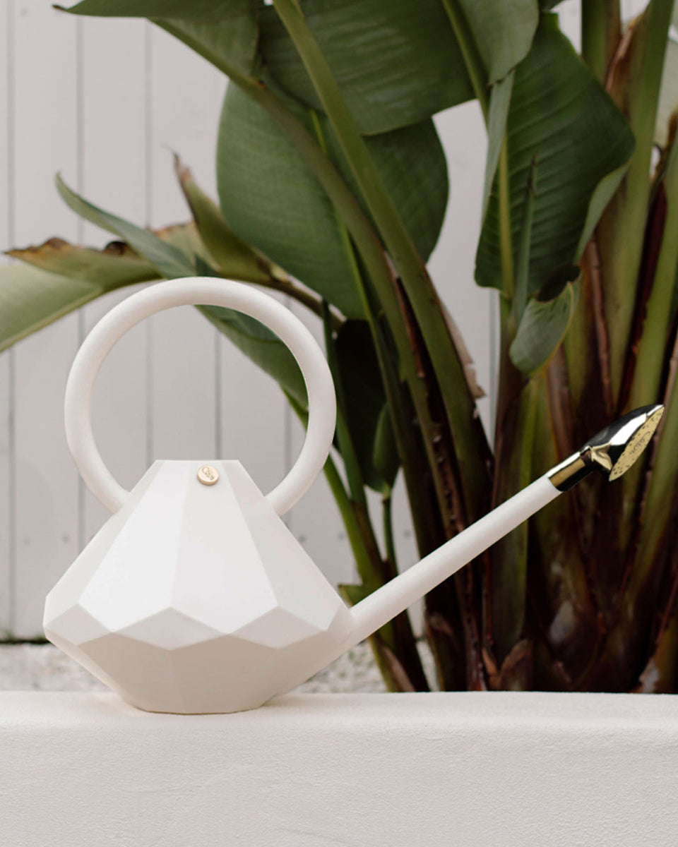 Crystal watering can + sprinkler head-2